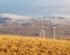 wind-energy